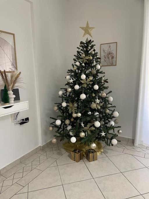 Apartment Angelas Luxury Ioannina